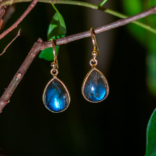 Labradorite Earrings - Gold Plated - Genuine Gemstone - Nickel Free