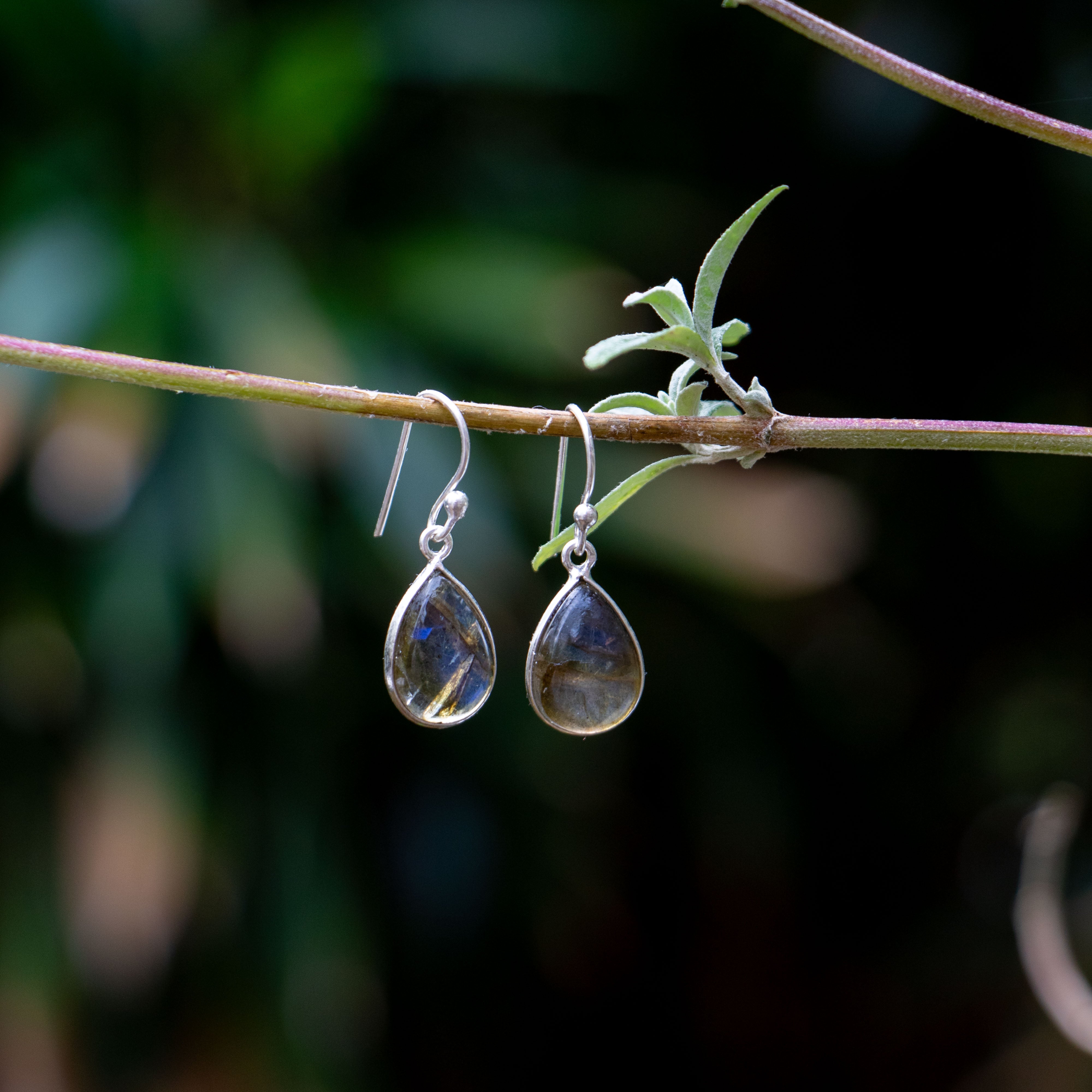 Labradorite Earrings - 925 Sterling Silver - Genuine Gemstone - Nickel Free