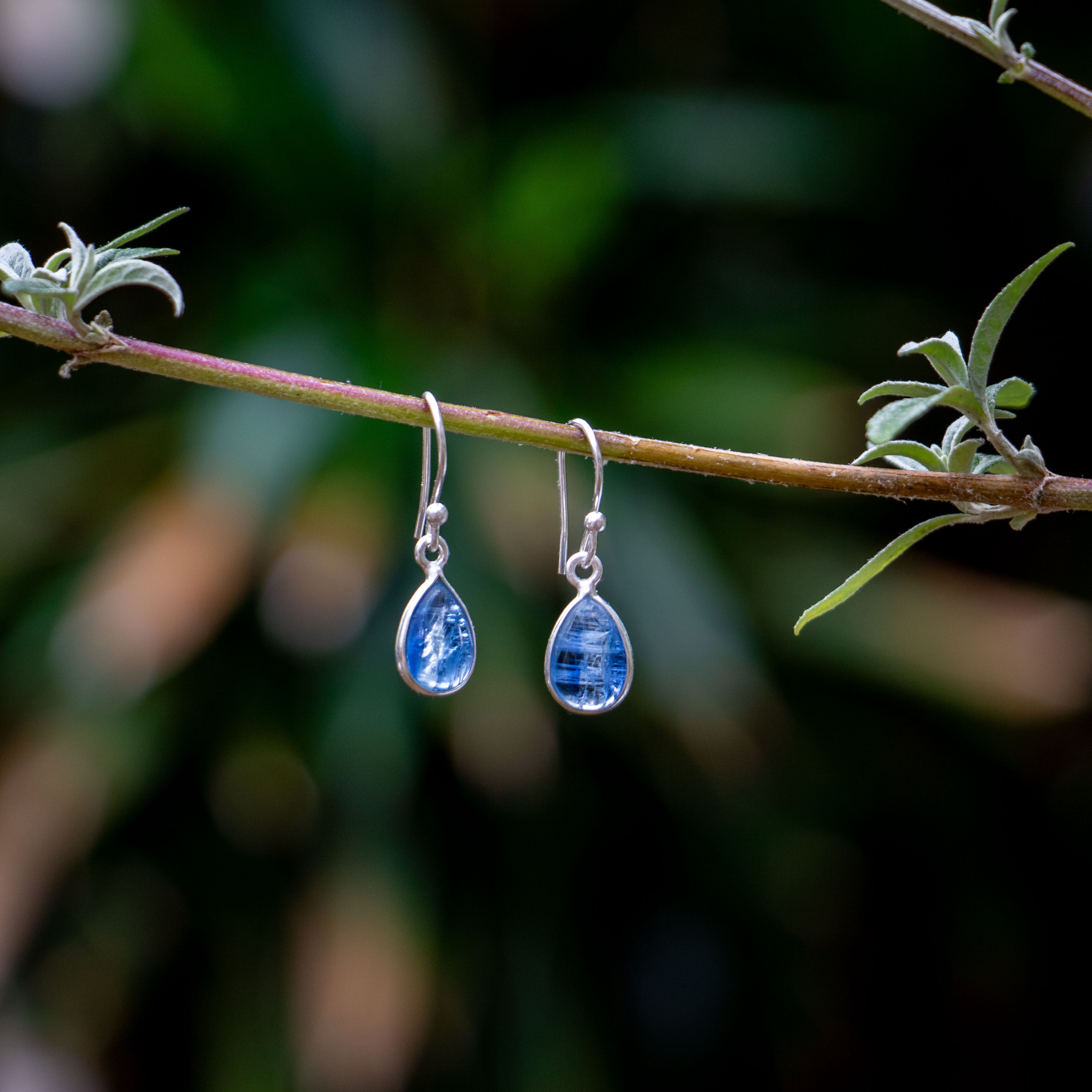 Kyanite Earrings - 925 Sterling Silver - Genuine Gemstone - Nickel Free